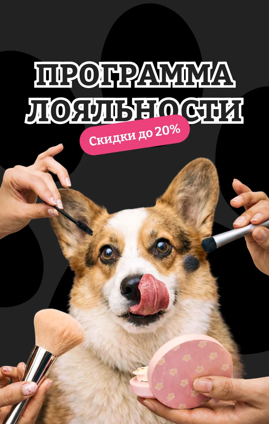Программа лояльности