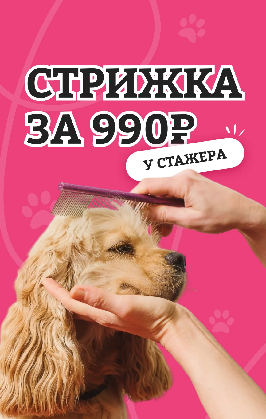 Стрижка
