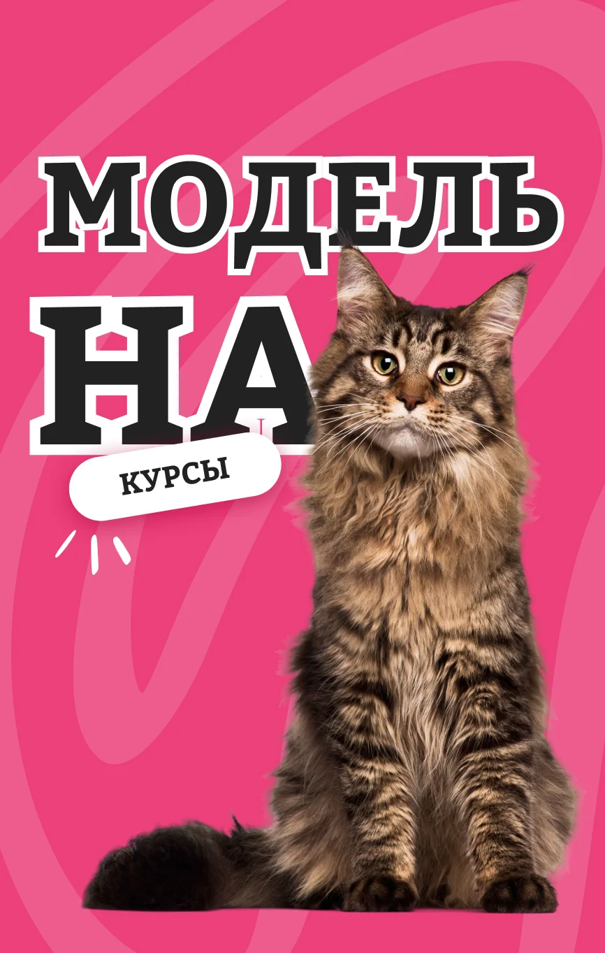 Модель на курсы
