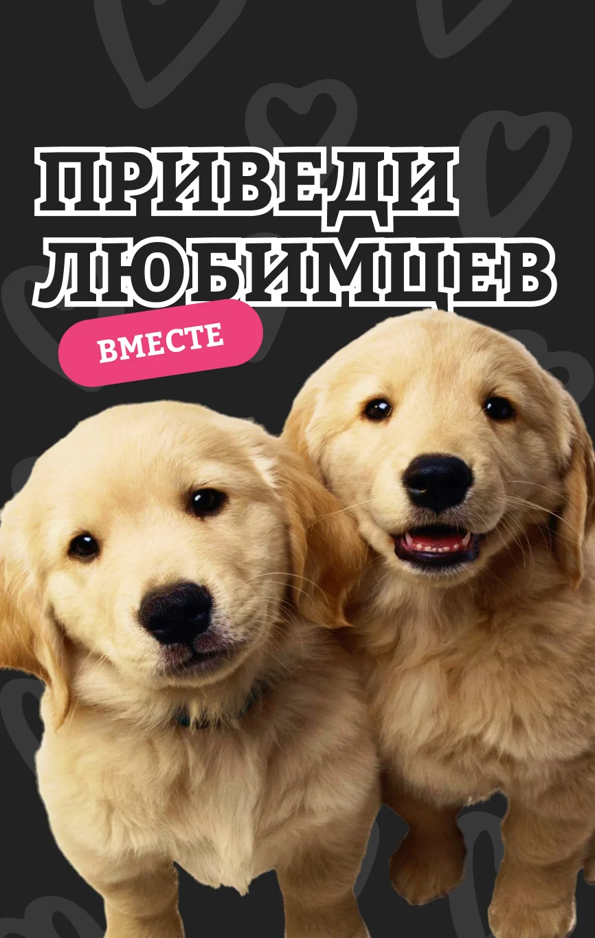Приведи любимцев вместе